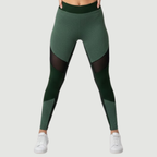 Emerald Fusion Mesh-Panel Tights
